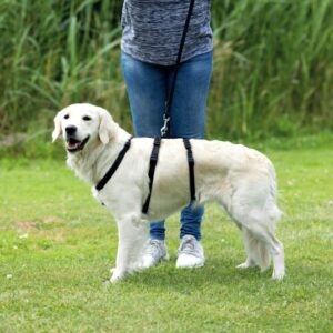 Alternative view of Trixie Panikgeschirr Stay - M-L, 50-75 cm/20 mm