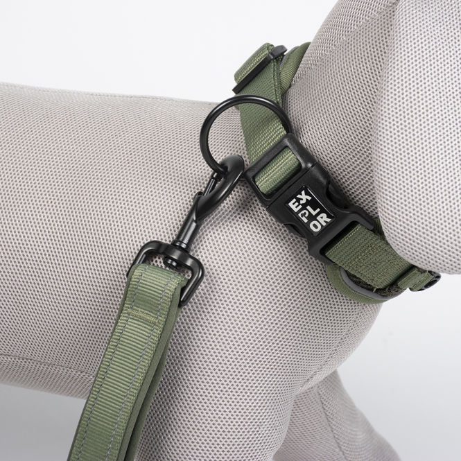 Duvoplus EXPLOR Ultimate Fit Control Halsband Classic - undercover green - S - 34-38cm – Bild 2