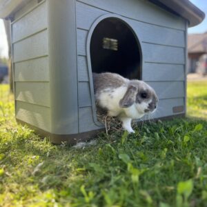 Alternative view of Duvoplus Tierhaus Pepita Eco - grün - 60 x 41 x 51cm