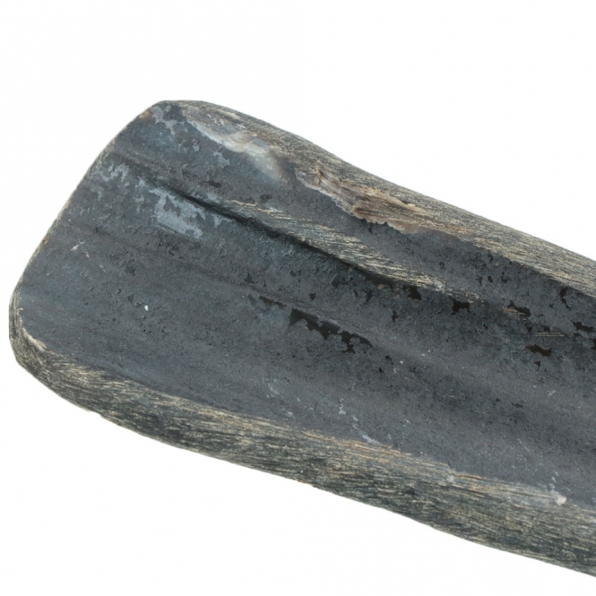 Viking half Horn - S – Bild 3