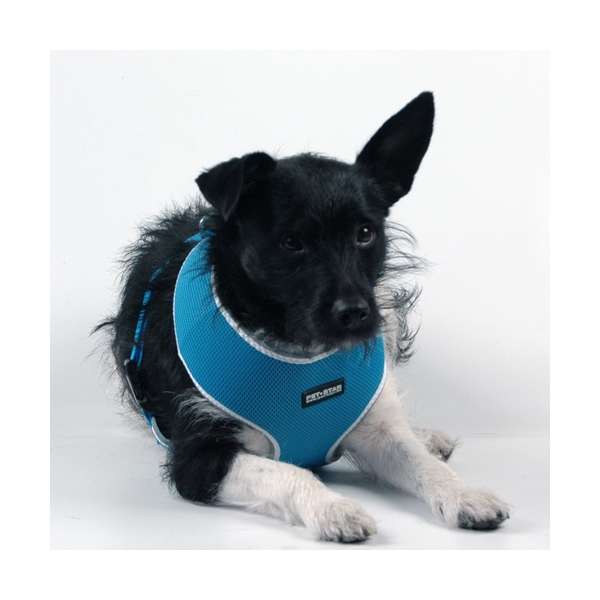 Pet-Star Softgeschirr / Netzgeschirr - Blau - L – Bild 2